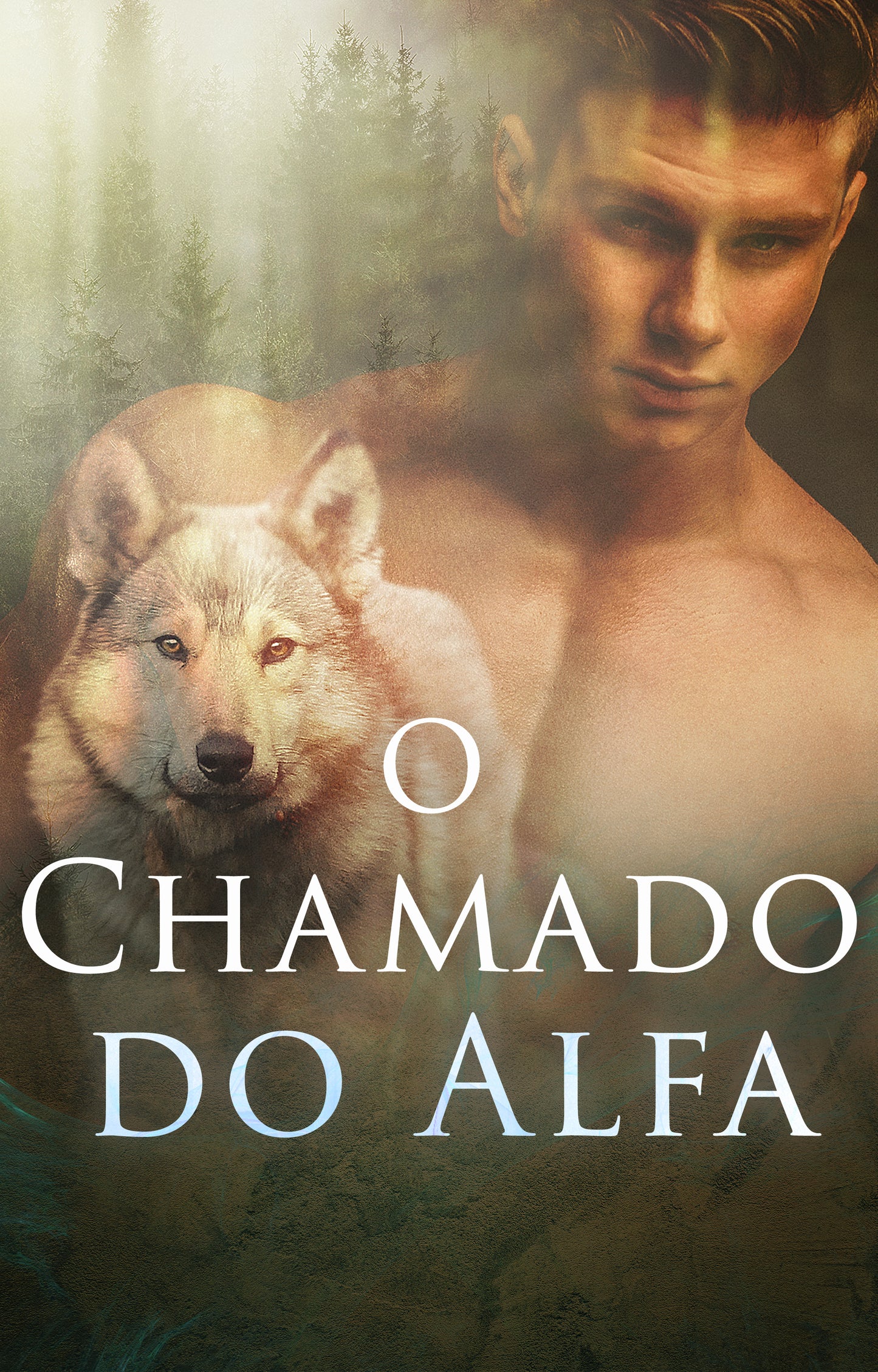 pt-BR cover