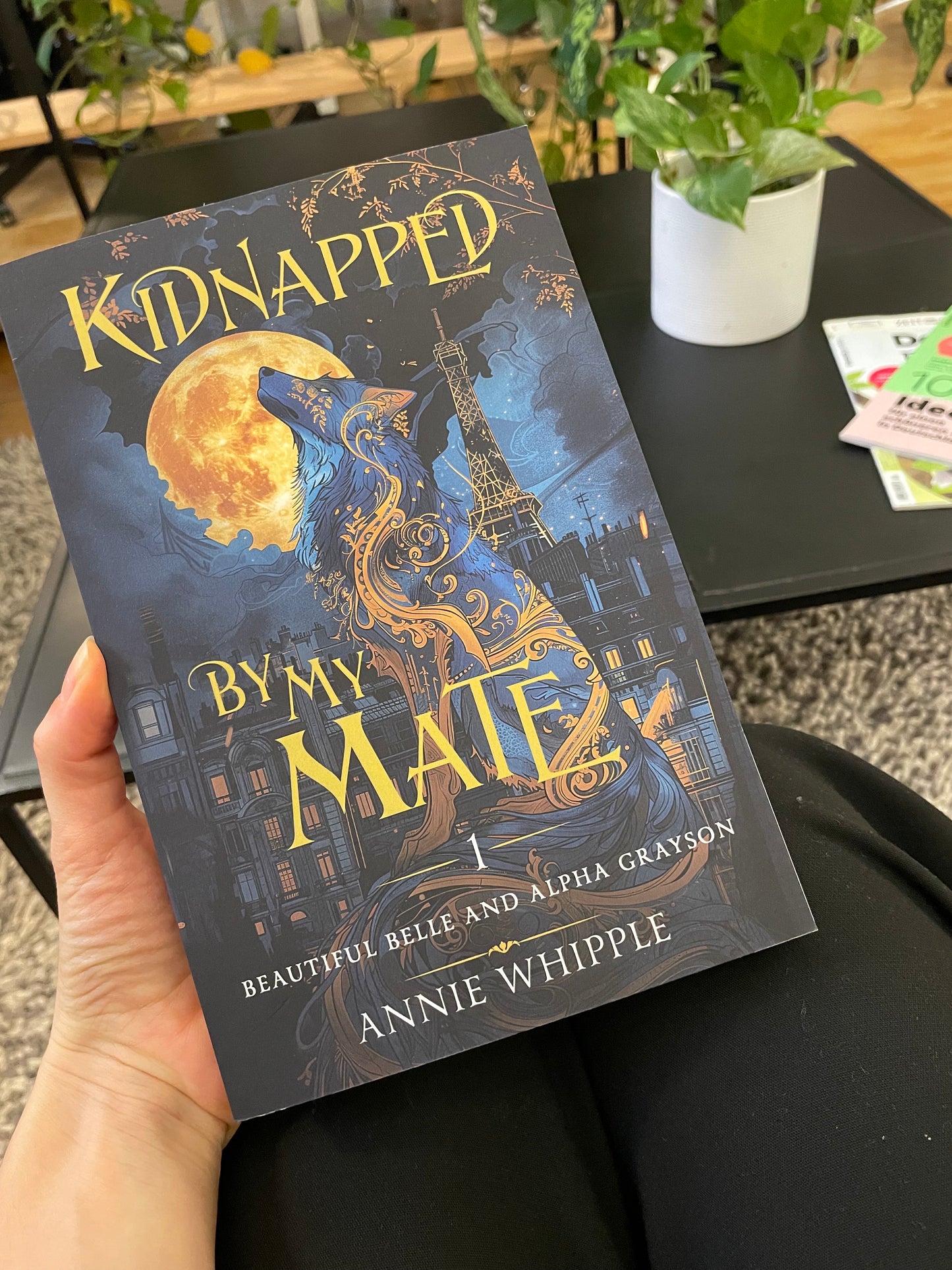 Annie Whipple: Kidnapped By My Mate Paperback Bundles
