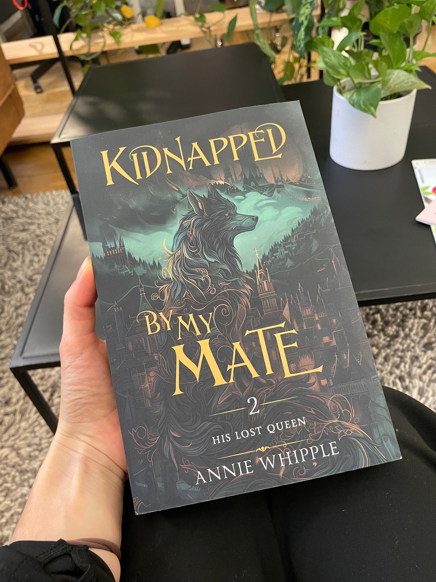 Annie Whipple: Kidnapped By My Mate Paperback Bundles