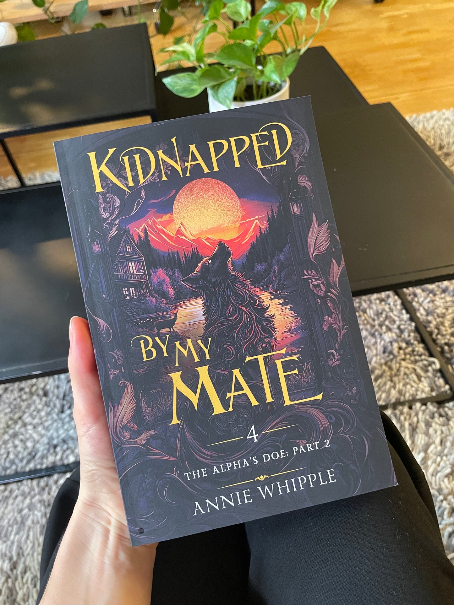 Annie Whipple: Kidnapped By My Mate Paperback Bundles