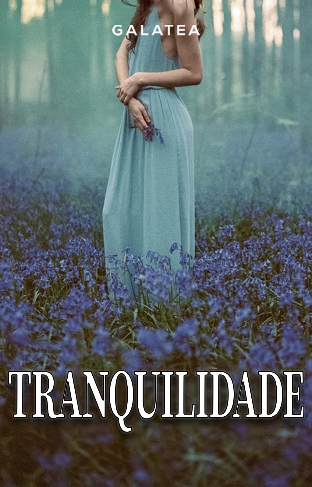 pt-BR cover