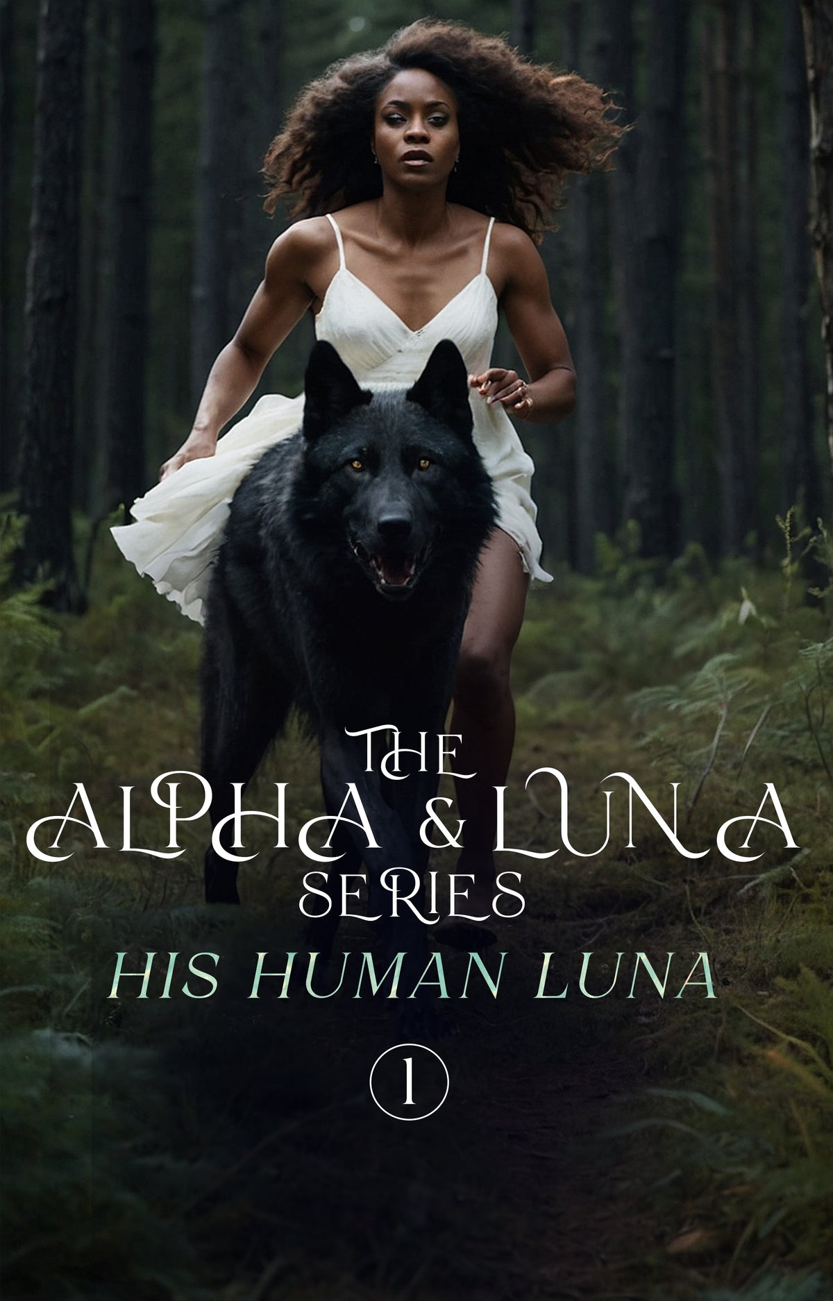 The Alpha and Luna Book 1: His Human Luna