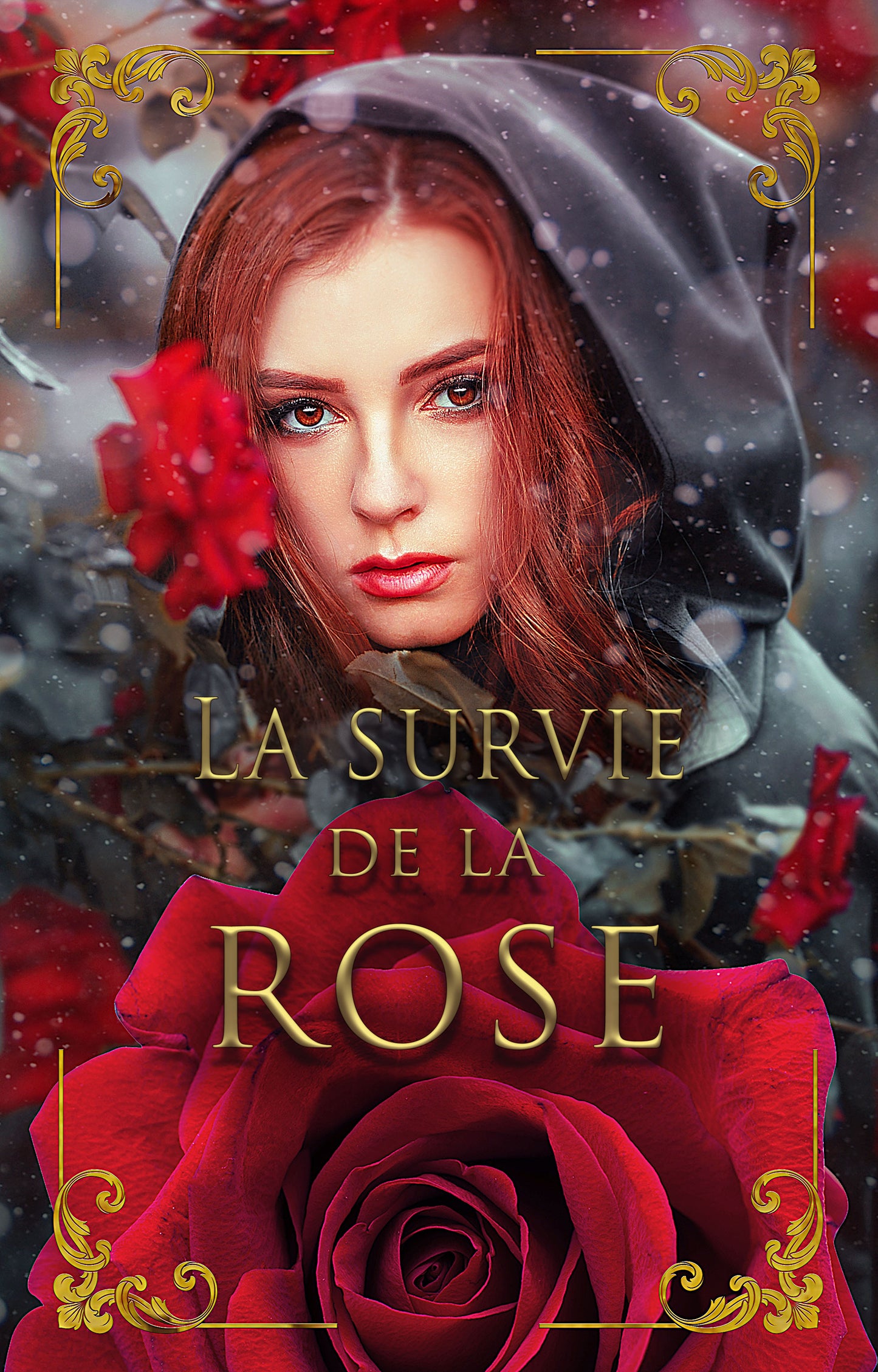 fr cover