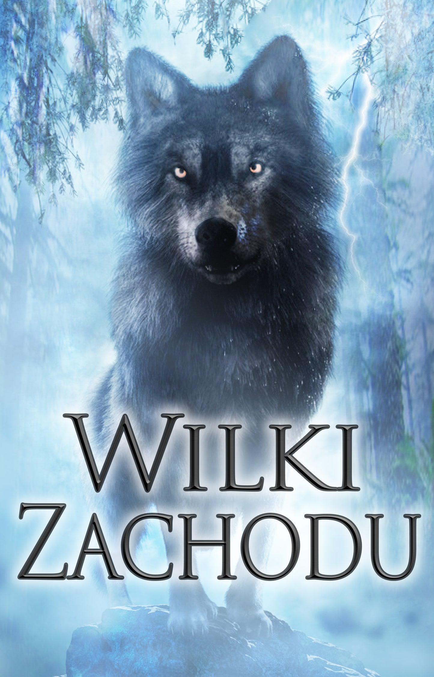 pl cover