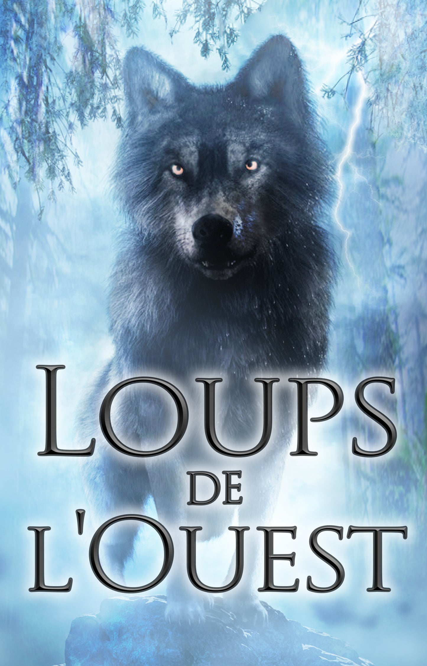 fr cover