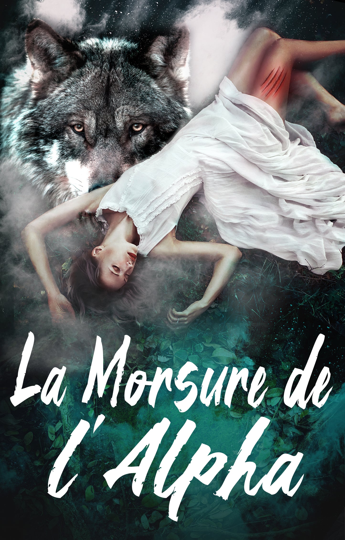 fr cover
