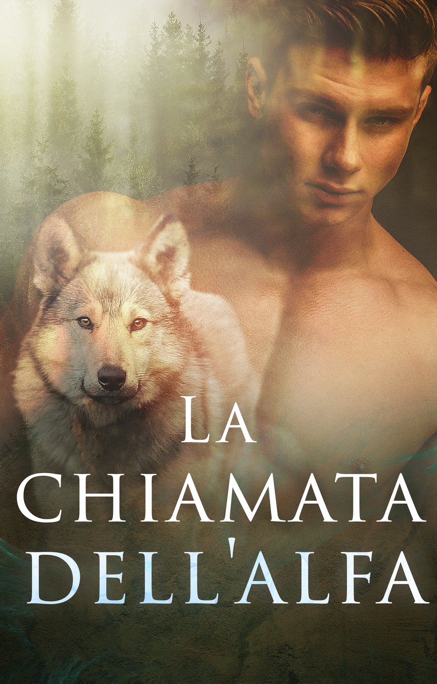it cover