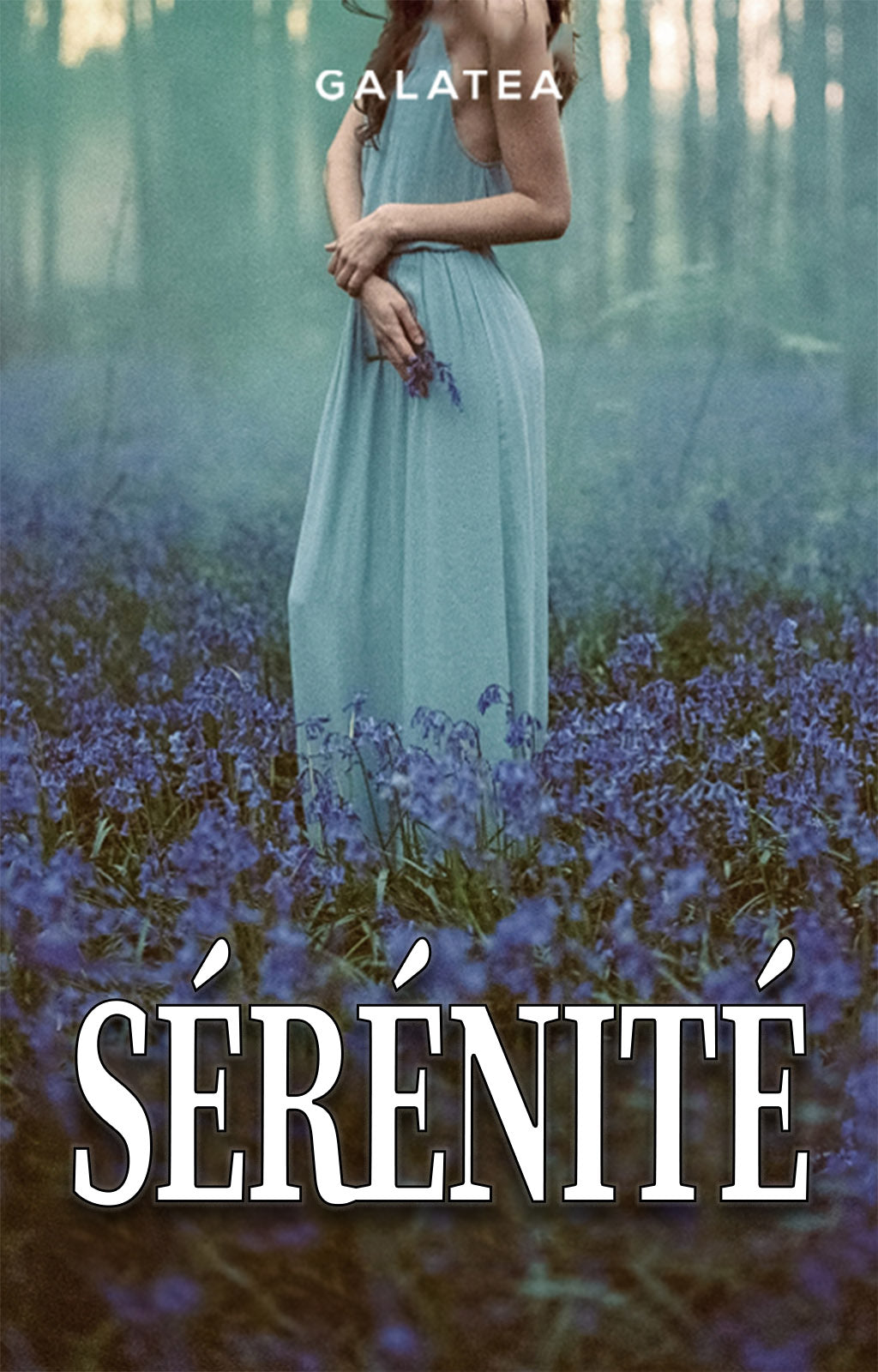 fr cover