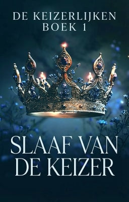 nl cover