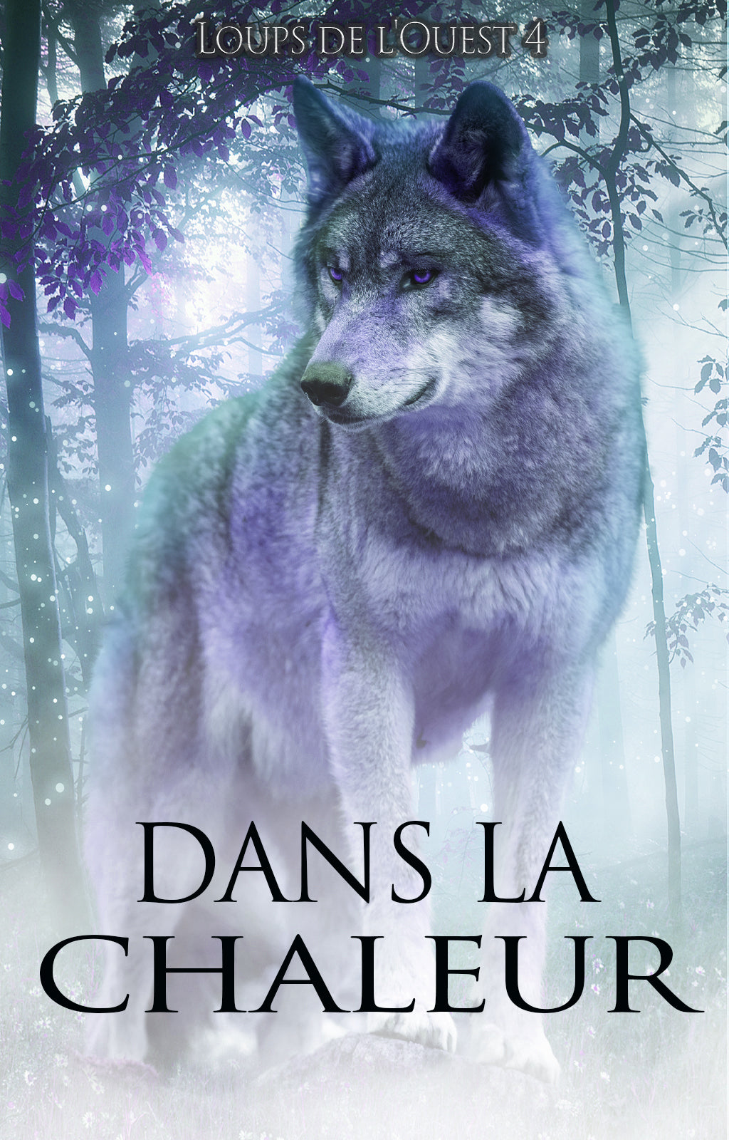 fr cover
