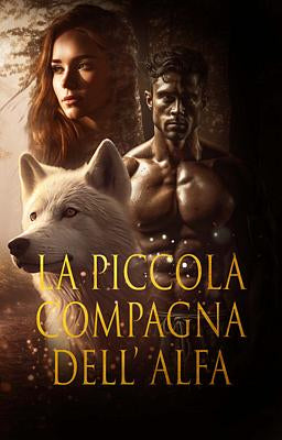 it cover