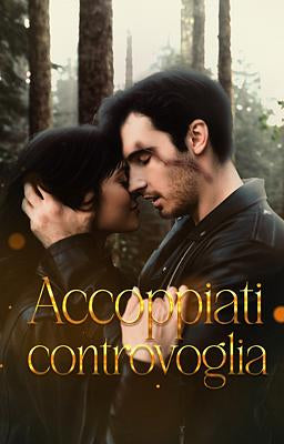 it cover