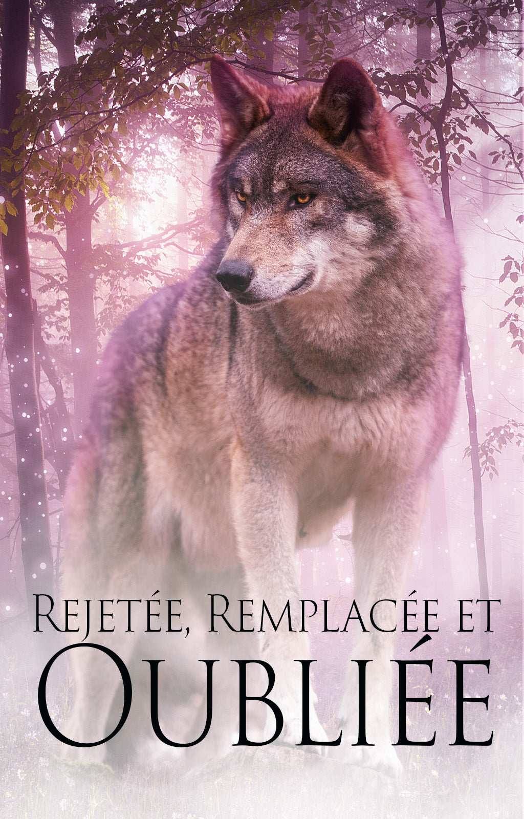 fr cover