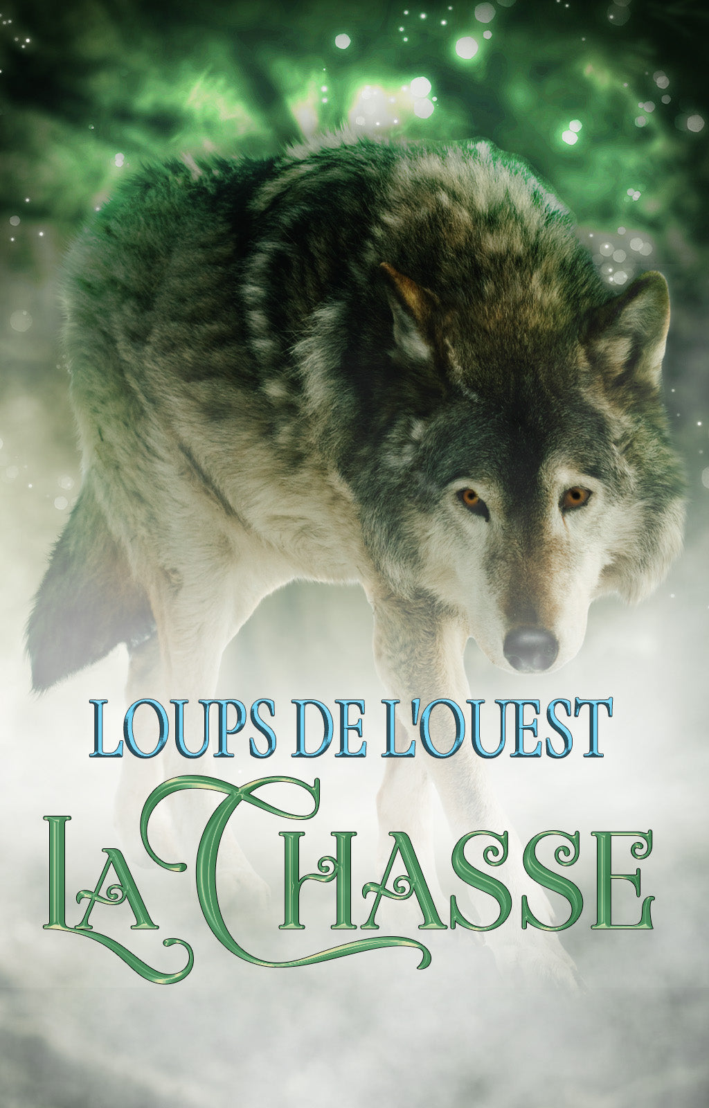 fr cover