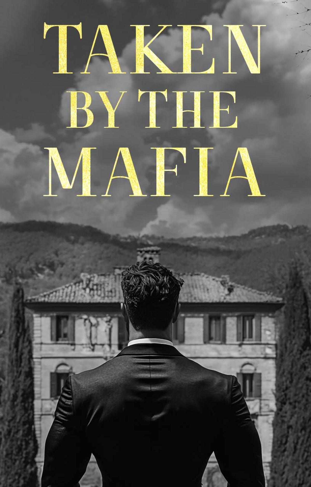 Taken By The Mafia