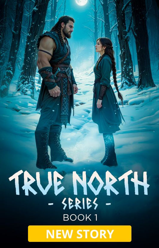 True North Series Book 1: True North